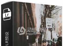 Insta网红摄影师@tyfrench城市旅拍胶片Lightroom预设 TY FRENCH LR