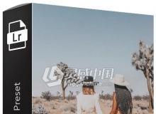 时尚摄影博主Emily Vartanian约书亚树胶片LR预设 Joshua Tree Preset