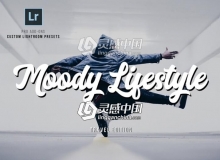 穆迪博客生活记录Lightroom预设 Moody Lifestyle Lightroom Presets