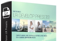 工艺和视觉预设 Dave Delnea's Craft and Vision LR Presets