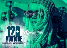 双色调Lightroom预设 120 Duotone Lightroom Presets