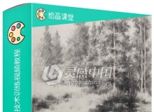 木炭风景画传统艺术绘画技术训练视频教程