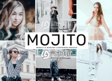 石绿色旅拍人像胶片Lightroom预设+手机版lr预设 Mojito Lightroom