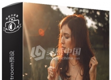 德味暖光灯光Lightroom预设 Jonas Jaeschke - Milestone Lightroom Presets