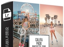 摄影师Livia Brasil巴西加州旅行手机版LR预设 California Mobile LR