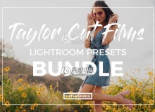 最新Taylor Cut Films Lightroom预设合集Taylor Cut Films Lightroom Presets
