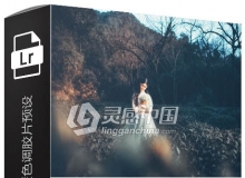 外景复古淡雅森系暖色调胶片PS/LR预设