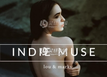 缪斯女神现代电影胶片Lightroom预设 Indie Muse Modern Moody Film LR
