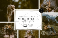 忧伤情绪人像胶片Lightroom预设/手机APP调色滤镜 MOODY TALE - Lightroom Presets