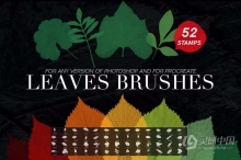 【PS笔刷】52支高分辨率新鲜树叶形状PS笔刷 52 Leaves photoshop Stamp Brushes