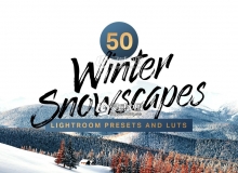 冬季旅拍风景人像LR预设LUT预设包 Winter Lightroom Presets and LUTs