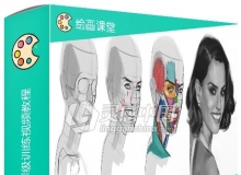 人物头部结构数字绘画大师级训练视频教程