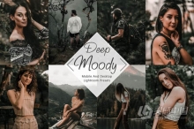 LR预设 喜怒无常黑暗情绪旅拍人像LR预设/APP滤镜 Lightroom Presets Neo Deep Moody