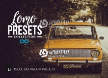 LOMO Lightroom预设 Photonify - Lomo Collection Lightroom Presets