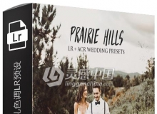 森系电影胶片颗粒婚礼色调Lightroom预设 Prairie Hills Lightroom