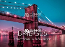 景观风景Lightroom预设 Bridges Lightroom Presets