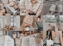 复古室内外人像产品摄影后期LR预设+手机版APP预设 Creamy Nude Preset