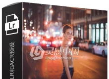 唯美夜景弱光人像街拍lightroom预设和ACR预设