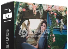 国外大师级GTG出品暗室电影胶片LR预设 Darkroom Film Lightroom Presets