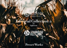 杂志胶片Lightroom预设 The Editorial Lightroom Collection V2