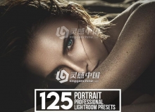 550高级人像Lightroom预设 550 Portrait Lightroom Presets