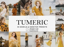 姜黄调胶片LR预设/旅拍视频LUT预设 Tumeric Yellow Lightroom Presets