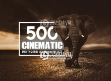 500优质电影效果Lightroom预设 Cinematic-500 Lightroom Presets