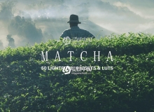 抹茶绿色调LR预设+APP预设+LUT预设 Matcha Lightroom Presets and LUTs