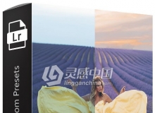 ins摄影博主Yana Leventseva薰衣草系列Lightroom预设 Lavander Lightroom
