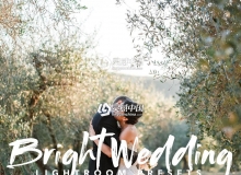 Ins婚礼摄影师明亮婚礼LR预设 Bright Wedding Lightroom Preset