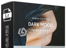 暗色调情绪人像电影色调LR预设/手机APP预设 Dark Mood Lightroom Presets