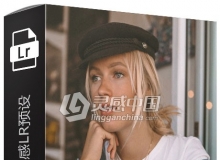 城市旅行胶片感Lightroom预设 Urban Pack — Jolie Janine Presets