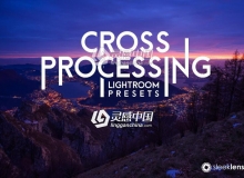 色彩交叉处理LR预设 Cross Processing X Lightroom Presets