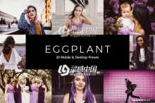 20个紫色调电影色调Lightroom预设/LUTs预设 Eggplant Lightroom Presets & LUTs