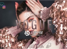 时尚人像修饰Lightroom预设+手机版lr预设Vogue Lightroom Preset