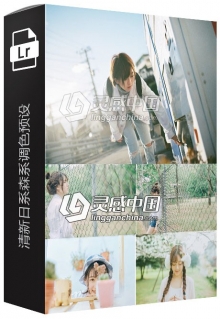 LR预设清新日系森系调色滤镜PR/PS/FCPX/达芬奇/AE/LUT预设
