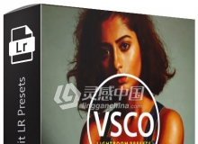 VSCO CAM预设下载-41组高端人像VSCO CAM Portrait Lightroom Presets 预设