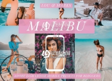 旅行摄影网红博主Lightroom移动手机版预设 Malibu Blogger Mobile LR