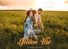 黄金时段暖色调人像LR预设/手机LR预设 Golden Fire Mobile Presets