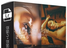 王家卫式电影风格ACR预设+Lightroom预设