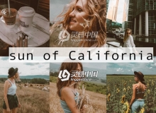 电影胶片移动手机版LR预设 Film Mobile Lightroom Preset