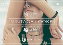 复古怀旧胶片Lightroom预设Vintage Looks Lightroom Presets