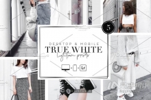 LR预设 INS博客人像经典肤色保留中性灰LR预设与手机APP预设 TRUE WHITE Presets