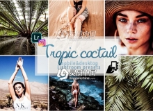 热带海岛旅行Lightroom预设+手机版lr预设Tropic coctail presets