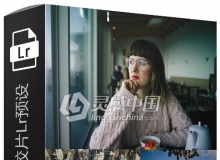 柯达富士经典胶片Lr预设+ACR预设 Classic Film Presets Collection