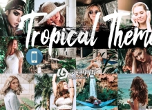 热带主题旅拍人像风景手机版Mobile Lightroom预设 Tropical Theme LR