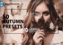 50组秋季外拍人像风景调色Lightroom预设+手机Lightroom APP预设