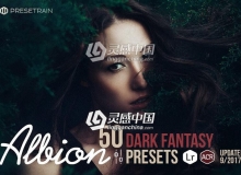 自然光线时尚肖像风景黑暗色调Lightroom预设 Albion Dark Fantasy Preset Pack
