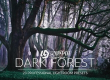 黑暗森林冷色调风景Lightroom预设 Dark Forest Lr Presets
