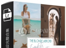 The Blonde Abroad 旅行时尚人像Lightroom预设完整合集 售价257美金
